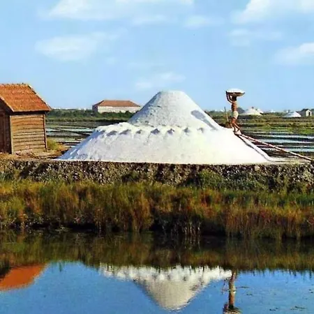 Bird's In Love *